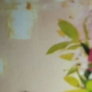 ������, 52 ����, ����