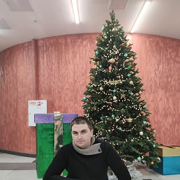 �����, 37 ���, ������