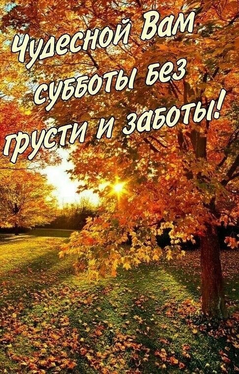 Всё будет хорошо! - 25 октября 2025 в 08:37