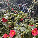 ���� �������, ������� - ��������� 28 ������ 2026 � ������ ���� ����������