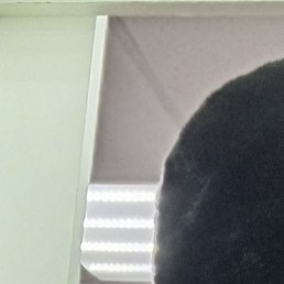 ������, �������, 29 ���