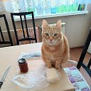 ���� ��������, ���������, 60 ��� - ��������� 7 ������ 2026 � ������ ������ ��������