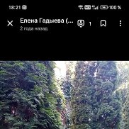 �����, 55 ���, �������