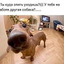 ���� ������, ������, 47 ��� - ��������� 7 ��� 2025 � ������ ������ ��������