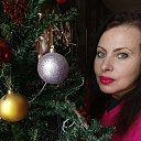 ���� �����, ������������ - ��������� 12 ������ 2026 � ������ ���� ����������