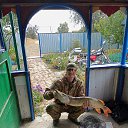 ���� �������, �������, 54 ���� - ��������� 1 ������ 2026 � ������ ���� ����������