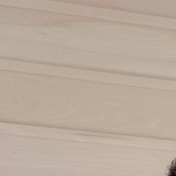 �����, ������, 48 ���