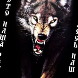 �����, ������ ��������, 31 ���