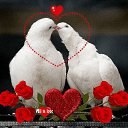 ���� �����, ������, 40 ��� - ��������� 16 ���� 2025