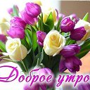 ���� ������, ������ - ��������� 8 ��� 2024 � ������ ���� ����������