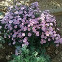 ���� ���������, ���������� - ��������� 14 ��� 2025 � ������ ���� ������