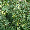 ���� �����, �������� - ��������� 26 ���� 2025 � ������ ������� 2025�