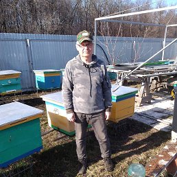 ����������, ���, 61 ���