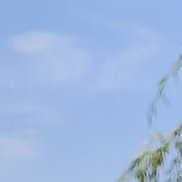 ������, 52 ����, ���������