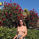 ���� ����, ����-���, 26 ��� - ��������� 25 ���� 2026 � ������ ���� ����������