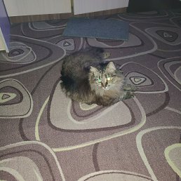 ���� �����, ������, 45 ��� - ��������� 17 ������� 2025