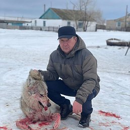 ����, ������, 45 ���