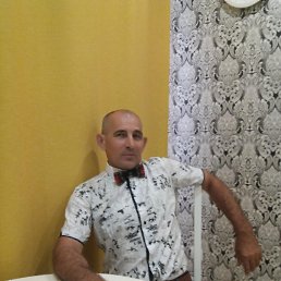 , 62, 