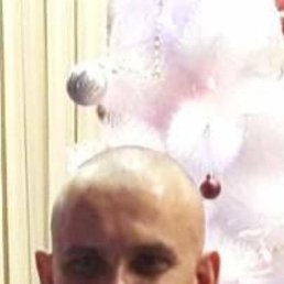 ���� ����, ������, 40 ��� - ��������� 28 ������� 2026