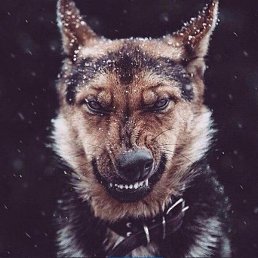 �������, �����-���������, 27 ���