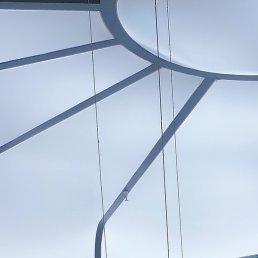 �������, �����-���������, 44 ����