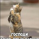 ���� �����, ����������� - ��������� 11 ������ 2026 � ������ ������ ��������