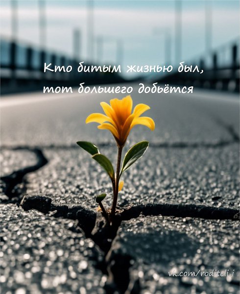  , !() - 30  2025  05:55 - 3