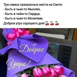  , , 51  -  25  2024