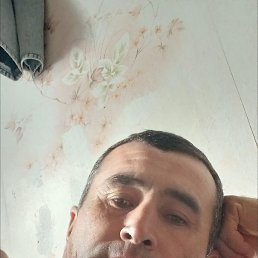 , 33, 
