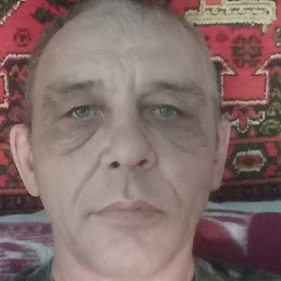 ���� ���������, ������, 48 ���