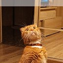 ���� �*******� (�� ���������), ����������� - ��������� 12 ������� 2024 � ������ ���� ����������