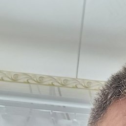 �������, ����, 52 ����