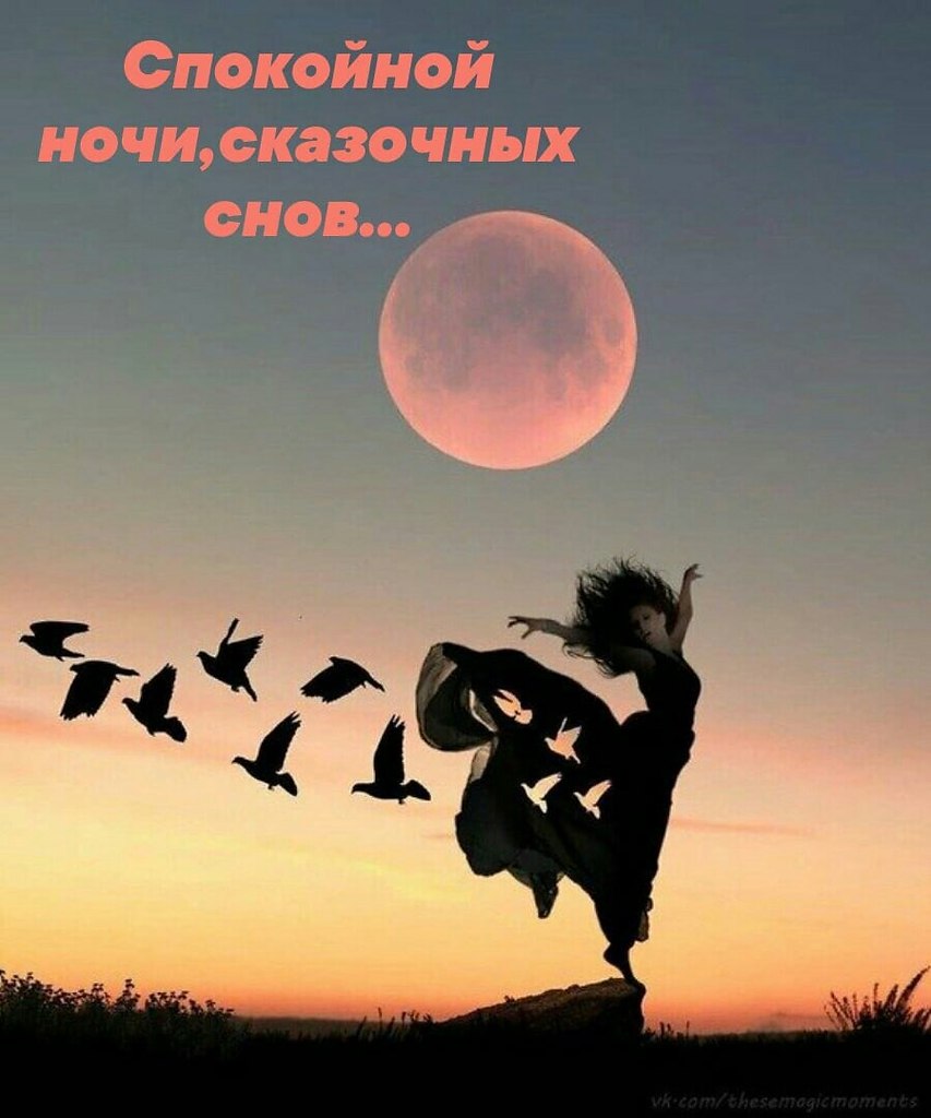   ,    . - 7  2024  18:50 - 2