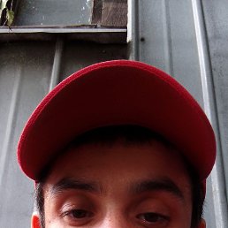 , 29, 