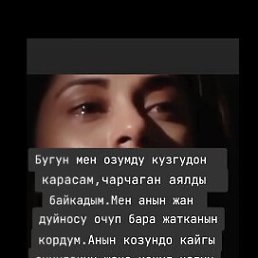 ���� �, ������, 31 ��� - ��������� 6 ��� 2026