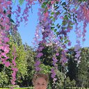 ���� ������� ����������, �����������, 68 ��� - ��������� 5 ������ 2026