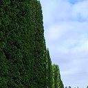 ���� ������, ��������� - ��������� 7 �������� 2024 � ������ ���� ����������