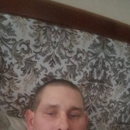 , 37, 