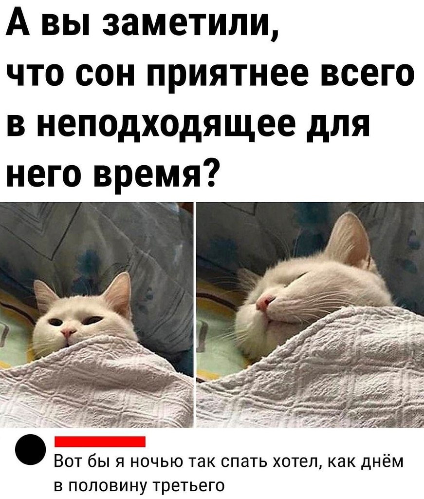 � ��� ����� ������ ���� �� ������