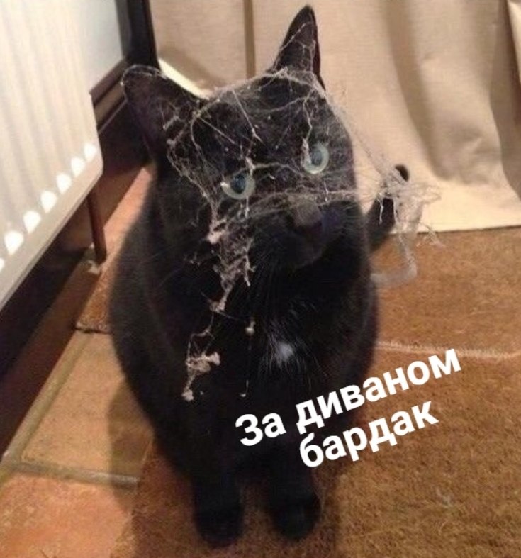 ��� ���� � ����� �� �� - 11 ��� 2026 � 16:55 - 3