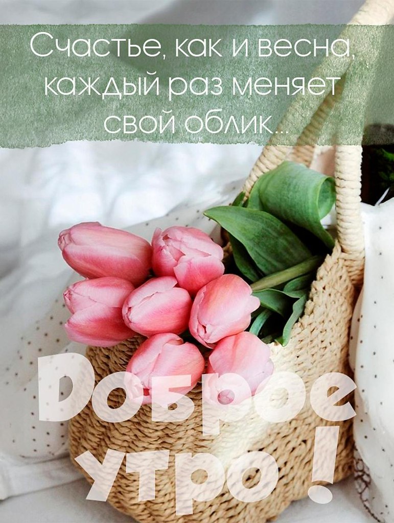   ,    . - 9  2025  07:44