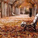 ���� Sugar, ������� - ��������� 30 ������ 2023 � ������ ������ ��������