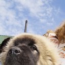 ���� ������, ������� - ��������� 1 ������� 2025 � ������ ���� ����������