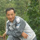  , -, 54  -  11  2024    