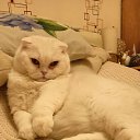 ���� �����, �����-���������, 49 ��� - ��������� 7 ������� 2025 � ������ ������ ��������