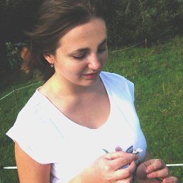 ��������, 33 ����, ����