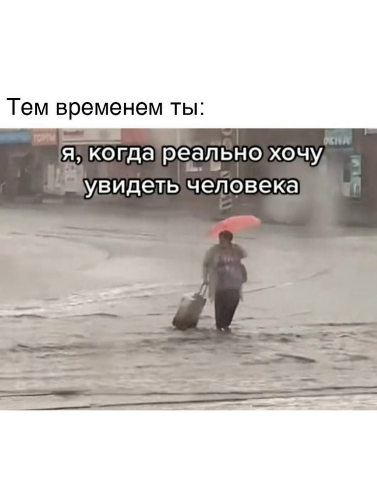 �������. - 23 ������� 2026 � 14:52 - 2