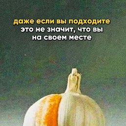 ������, ������, 40 ���