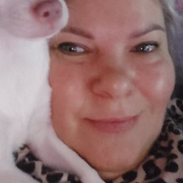 ����, ������