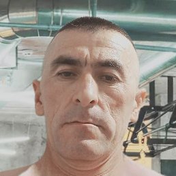 �������, ������, 46 ���